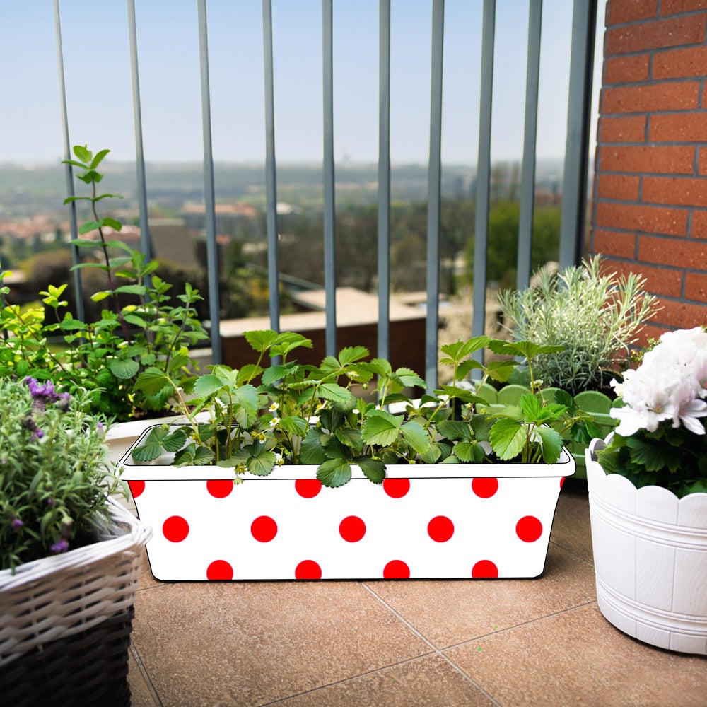 Flower Pot with Dots