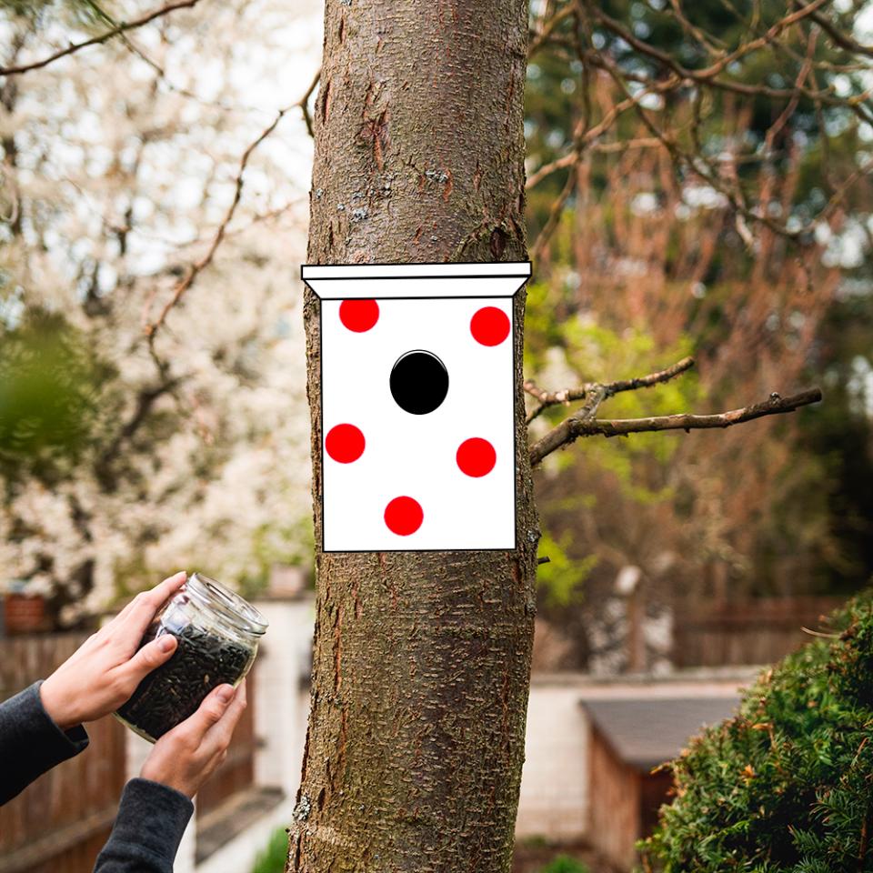 Birdhouse with Dots