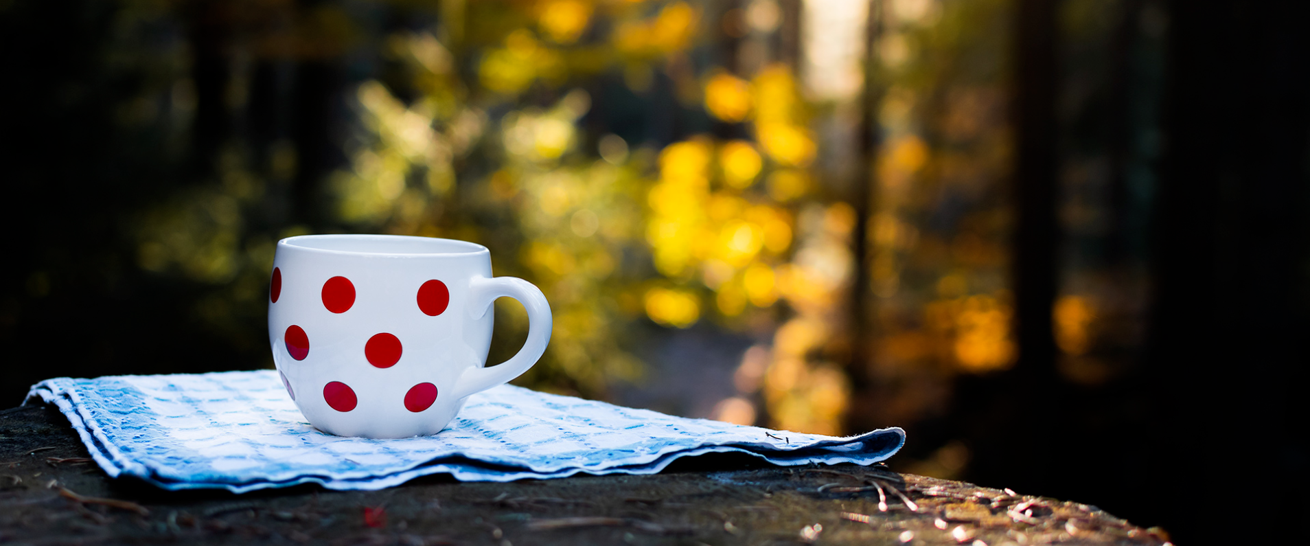 Cup on Table